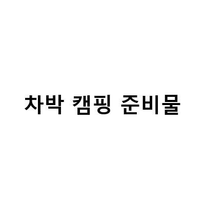 차박 캠핑 준비물-제주도 차박 여행, 전기차 렌트로 캠핑 준비물 걱정 NO!