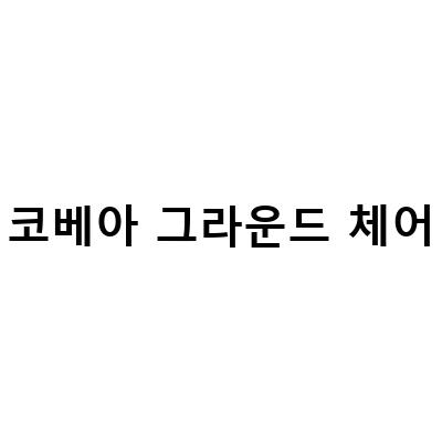 코베아 그라운드 체어-코베아 그라운드 체어 – 최고의 안락함과 편안함을 선사하는 의자