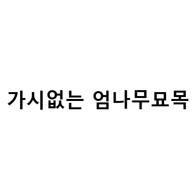 가시없는 엄나무묘목-가시 없는 엄나무 묘목 식재에 대한 정보