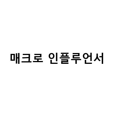 매크로 인플루언서-“인플루언서 마케팅: 온라인 쇼핑 카트의 열쇠를 쥐고 있는 인플루언서와 그 특징”