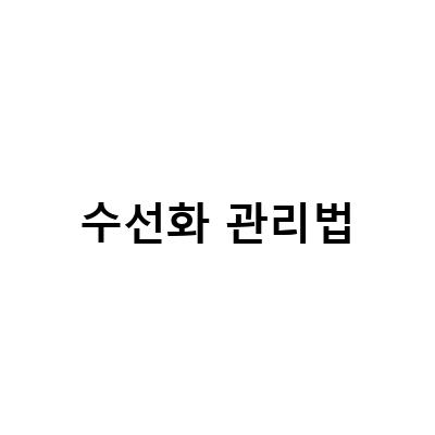 수선화 관리법-수선화 키우기와 관리법: 수경재배, 물주기, 꽃말, 구근 관리법