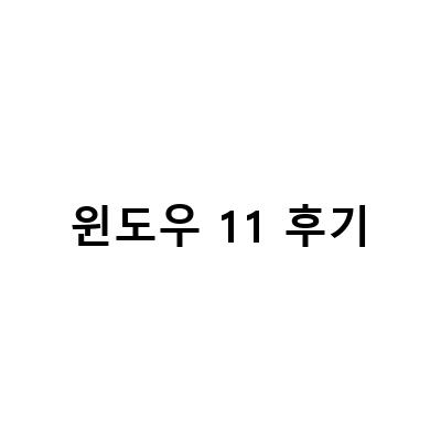 윈도우 11 후기-윈도우11 후기 및 윈도우10으로 되돌리기 방법, 윈도우11 직접 설치 후기, 업데이트 방법 후기 및 장단점