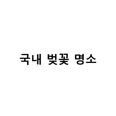 국내 벚꽃 명소-대한민국 벚꽃 명소: 하동 십리벚꽃길과 대구 이월드 두류공원의 아름다운 포토존