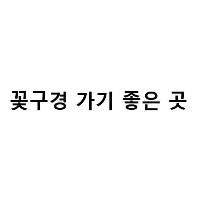 꽃구경 가기 좋은 곳-광주 시청 장미공원에서 밤에 꽃구경 즐기기