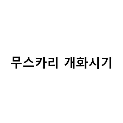 무스카리 개화시기-무스카리 키우기 구근 심기 수확 보관 방법 꽃말 개화시기 – 봄꽃 구근식물 무스카리 키우기 가이드