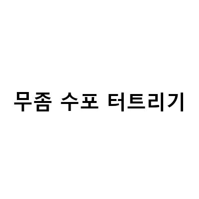 무좀 수포 터트리기-한포진 수포 치료와 피부 물집 발생 질환 관리법에 대한 정보