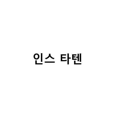 인스 타텐-인스타 팔로워 늘리기 셀프로 성공한 후기 – 블로그 포스트 작성 가이드