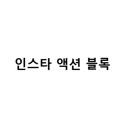 인스타 액션 블록-인스타그램 액션 블록을 예방하는 방법과 이유