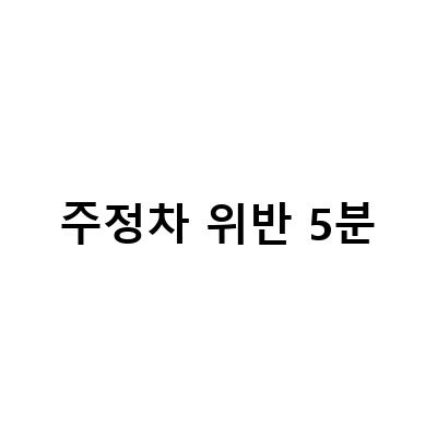 주정차 위반 5분-안전신문고 5대 불법 주정차: 위반 사례, 조회 방법, 위반금액