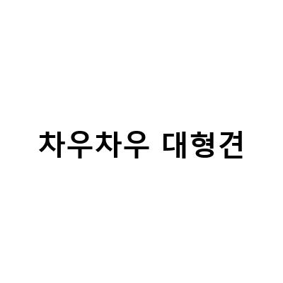 차우차우 대형견-대형견 목욕 대전: 차우차우를 위한 최적의 목욕 방법