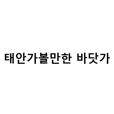 태안가볼만한 바닷가-태안 가볼 만한 곳: 솔로 8기 촬영지와 앞 오션뷰 카페, 충남 바닷가 사찰 안면암