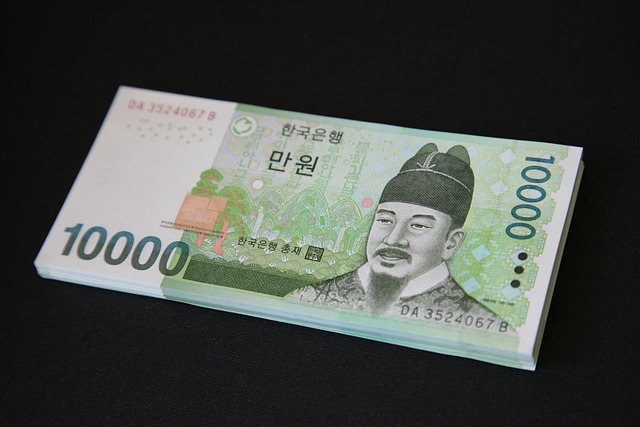 시흥 거북섬 물총축제에서 만원으로 신나게 놀다왔어요!