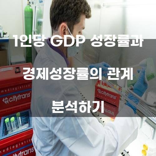 1인당 GDP 성장률과 경제성장률의 관계 분석