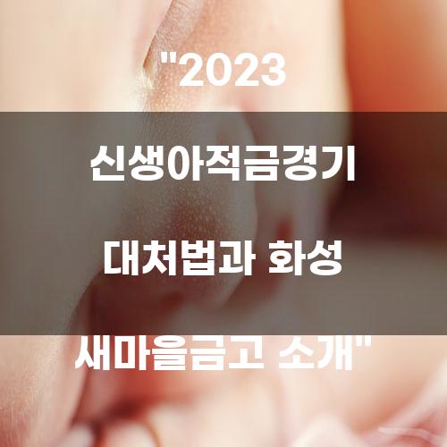 2023 신생아적금경기 대처법과 화성 새마을금고 소개