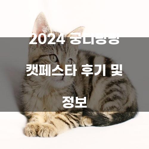 2024 궁디팡팡 캣페스타 후기 및 정보