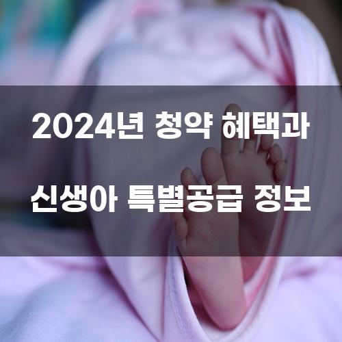 2024년 청약 혜택과 신생아 특별공급 정보