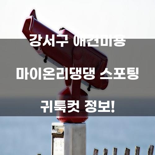 강서구 애견미용 마이온리댕댕 스포팅 귀툭컷 정보!