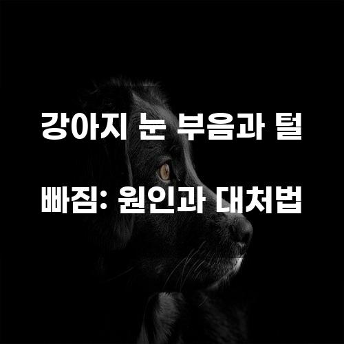 강아지 눈 부음과 털 빠짐: 원인과 대처법