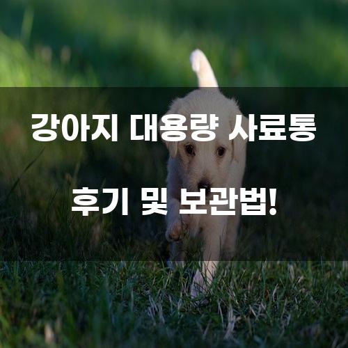 강아지 대용량 사료통 후기 및 보관법!