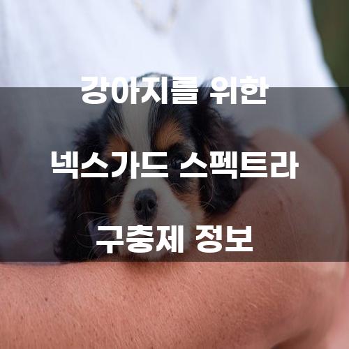 강아지를 위한 넥스가드 스펙트라 구충제 정보