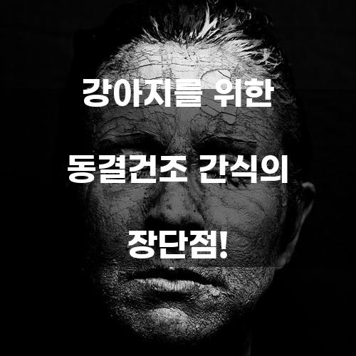 강아지를 위한 동결건조 간식의 장단점!