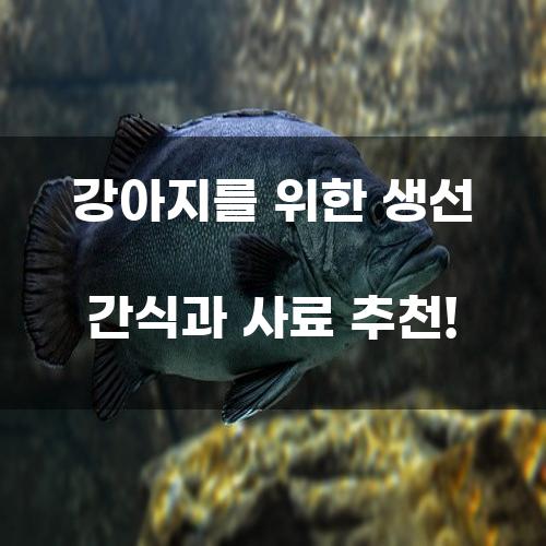 강아지를 위한 생선 간식과 사료 추천!