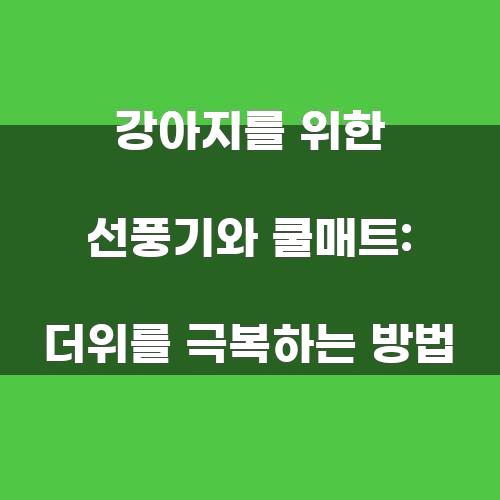 강아지를 위한 선풍기와 쿨매트: 더위를 극복하는 방법
