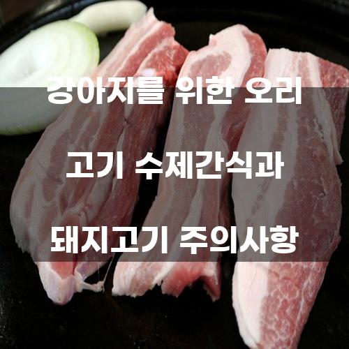 강아지를 위한 오리 고기 수제간식과 돼지고기 주의사항