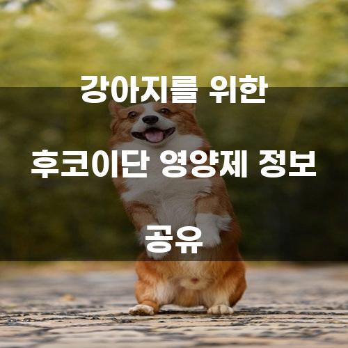 강아지를 위한 후코이단 영양제 정보 공유