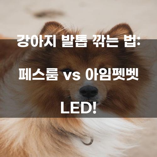 강아지 발톱 깎는 법: 페스룸 vs 아임펫벳 LED