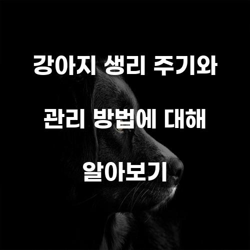 강아지 생리 주기와 관리 방법