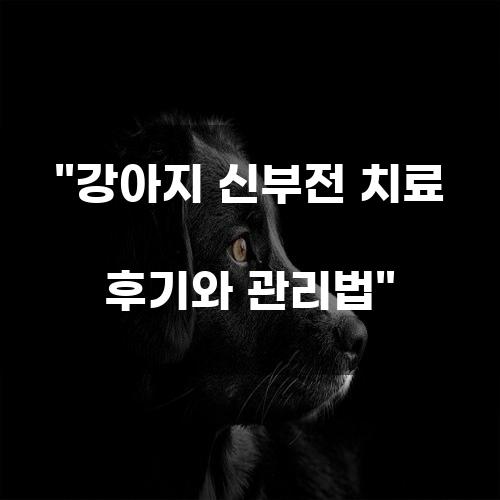 강아지 신부전 치료 후기와 관리법