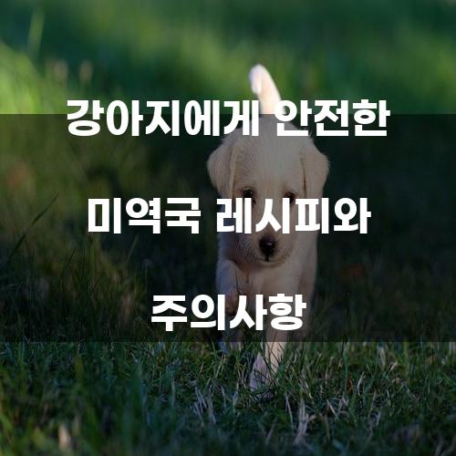 강아지에게 안전한 미역국 레시피와 주의사항
