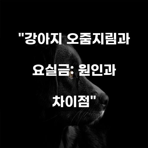 강아지 오줌지림과 요실금: 원인과 차이점