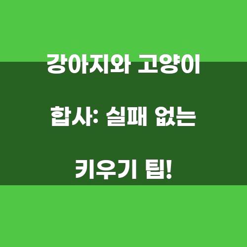 강아지와 고양이 합사: 실패 없는 키우기 팁!