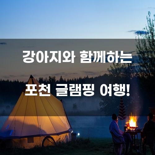 강아지와 함께하는 포천 글램핑 여행!