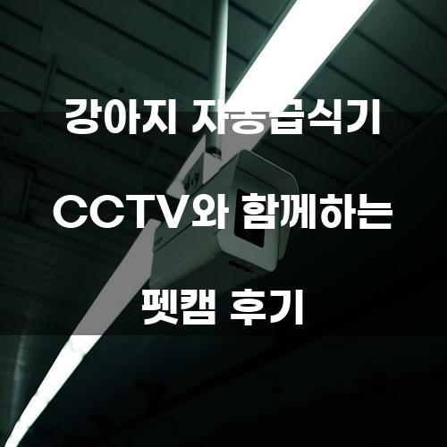 강아지 자동급식기 CCTV와 함께하는 펫캠 후기