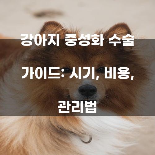 강아지 중성화 수술 가이드: 시기, 비용, 관리법