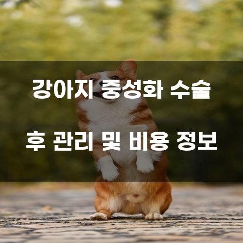 강아지 중성화 수술 후 관리 및 비용 정보