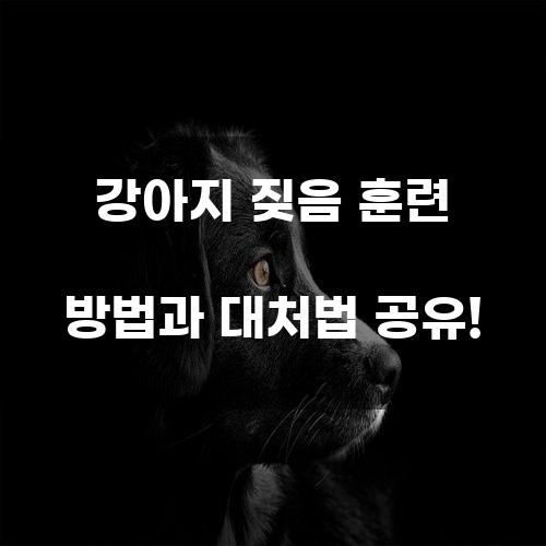 강아지 짖음 훈련 방법과 대처법 공유!