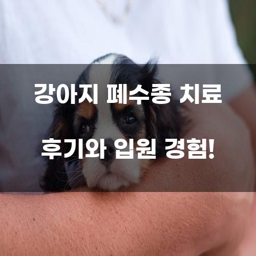 강아지 폐수종 치료 후기와 입원 경험!