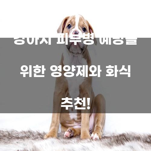 강아지 피부병 예방을 위한 영양제와 화식 추천!