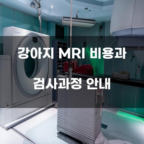 강아지 MRI 비용과 검사과정 안내