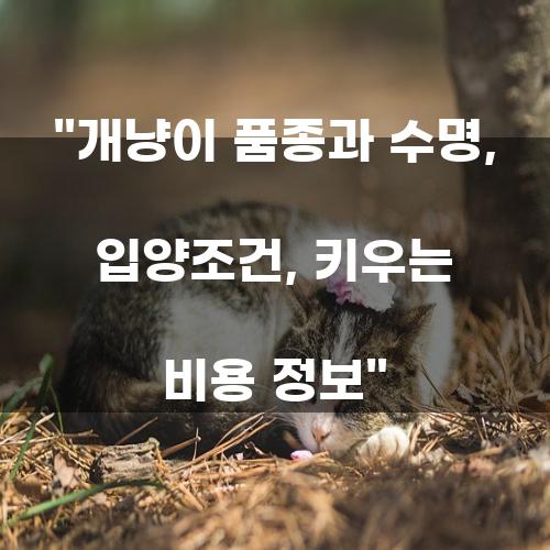 태그 키워드