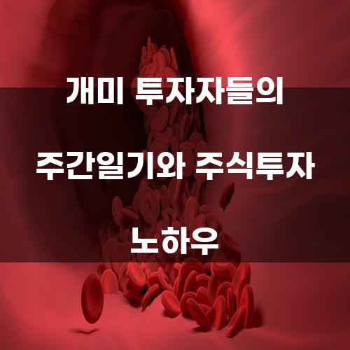 주식투자의 신비한 세계: 개미 투자자들의 주간일기와 노하우
