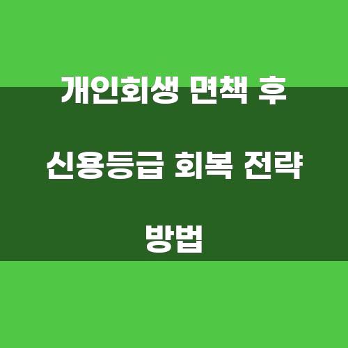 개인회생 면책 후 신용등급 회복 전략 방법