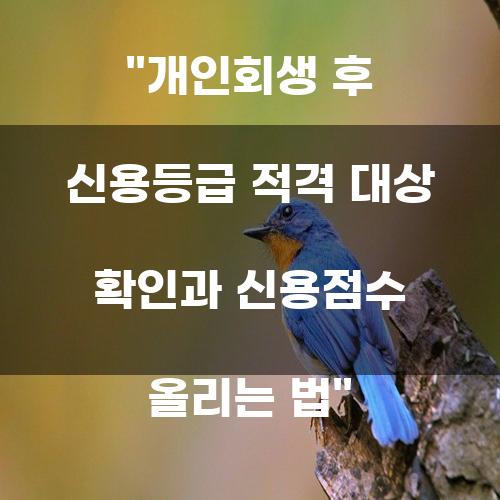 개인회생 후 신용등급 적격 대상 확인과 신용점수 올리는 법