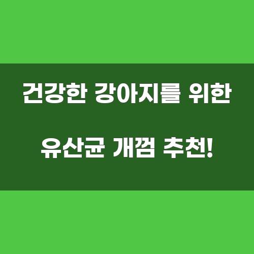 건강한 강아지를 위한 유산균 개껌 추천!