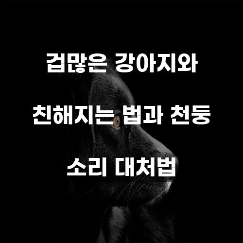 겁많은 강아지와 친해지는 법과 천둥 소리 대처법