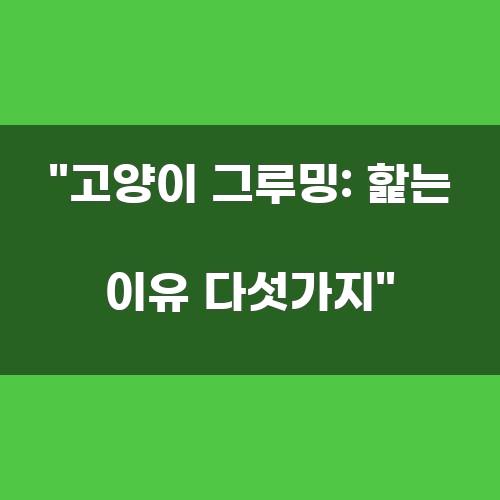 고양이 그루밍: 핥는 이유 다섯가지